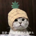 菠萝头